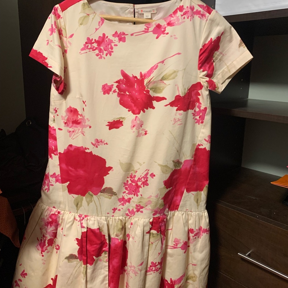 J Crew size 16 dress